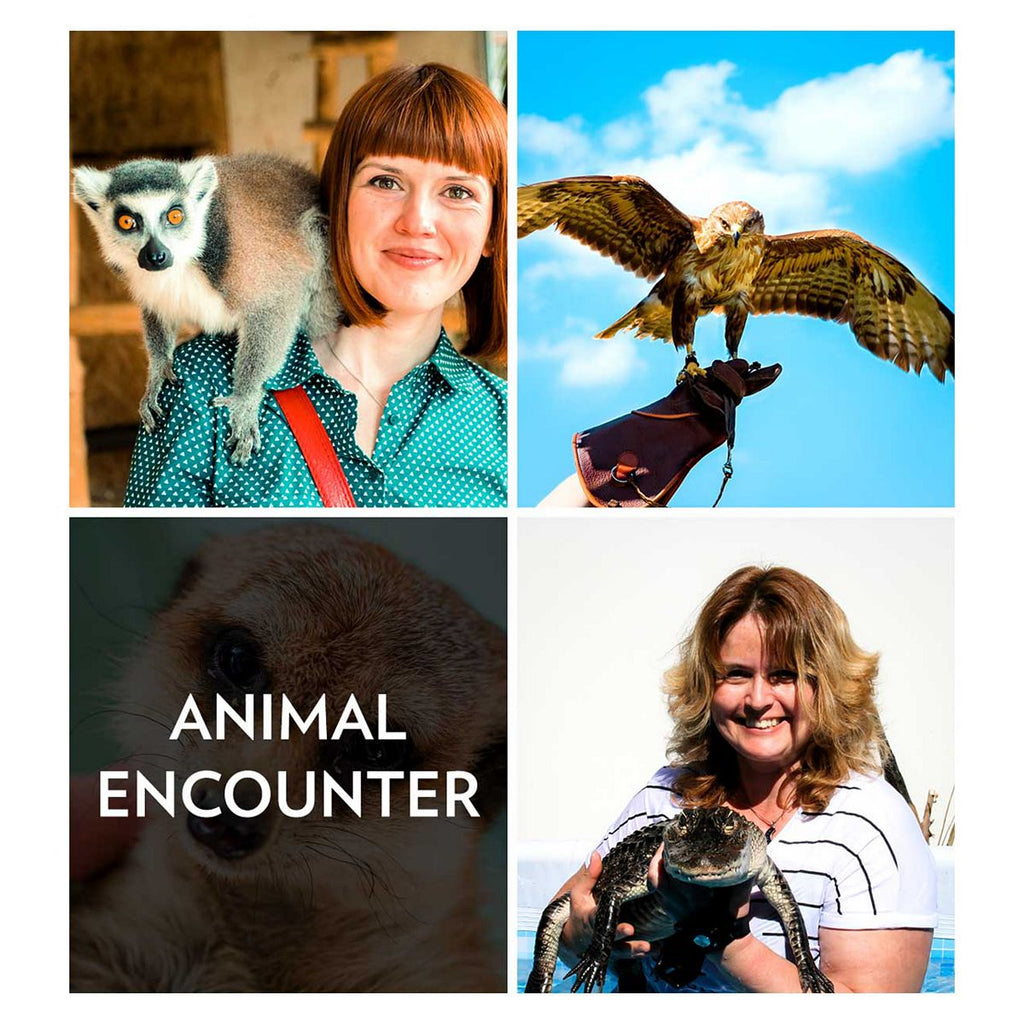 Activity Superstore Animal Encounter Gift Experience