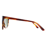 Ralph Lauren RL8186 brown women sunglasses (British brand)