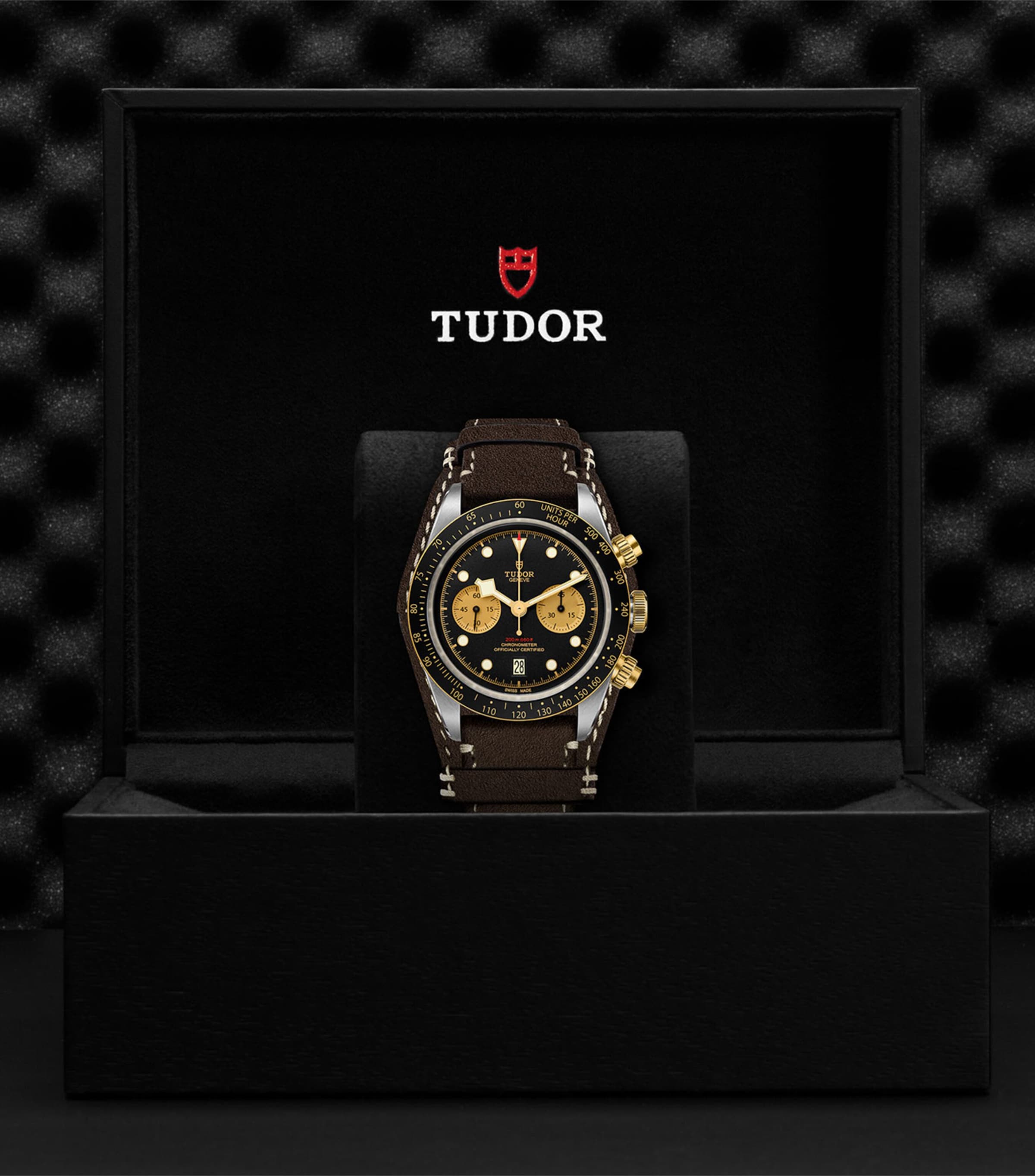 TUDOR Black Bay stainless steel watch 41mm, imported from the UK
