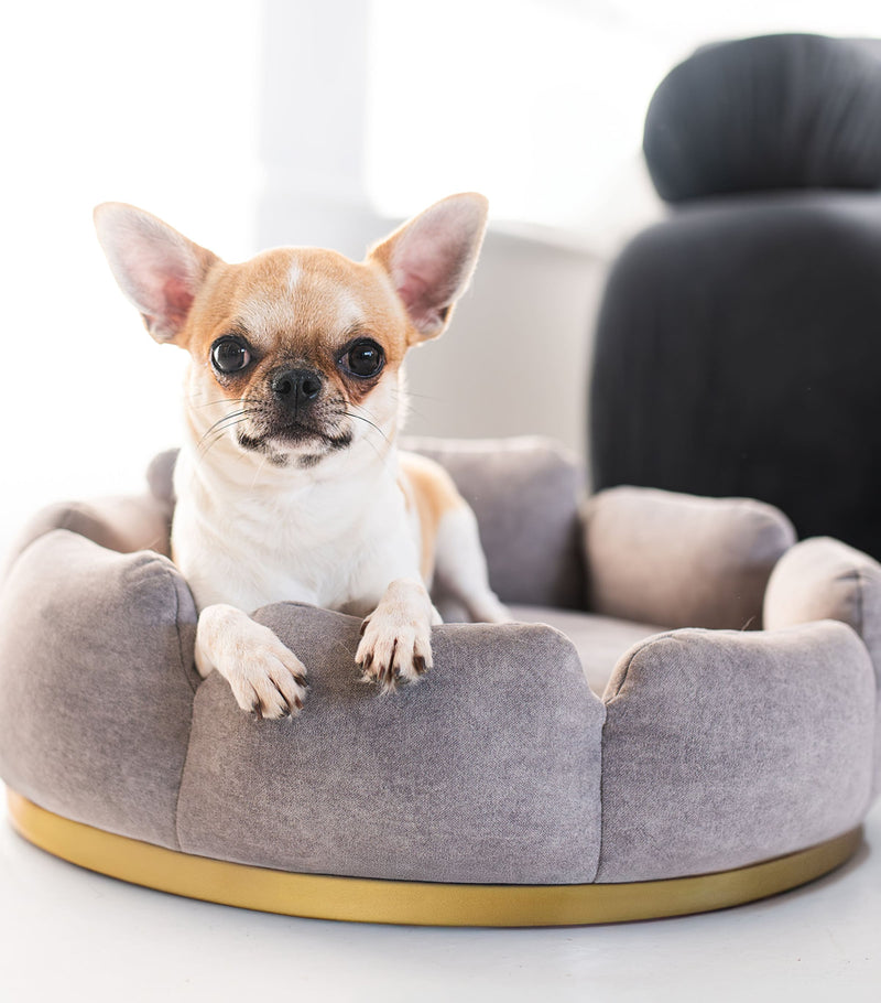 Looty Camelia small pet bed for dogs and cats, imported from the UK