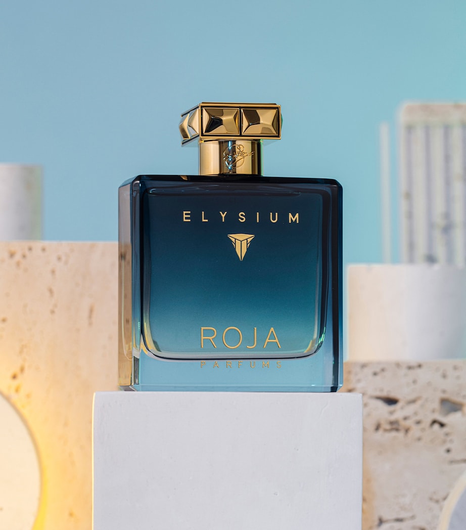 Roja Elysium Pour Homme cologne 100ml, UK version