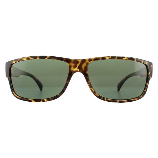 Timberland sunglasses TB9064 dark Havana green - British product