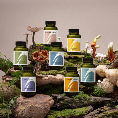 Die Herbtender Tägliche Abwehr mit Astragalus und Super-Pilzen Immununterstützende Kapseln 60er Packung