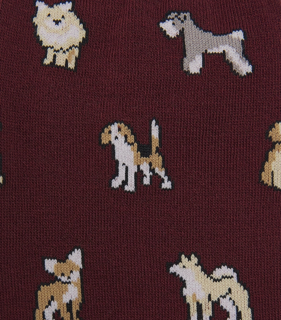 Paul Smith dog socks with playful canine patterns (British brand)