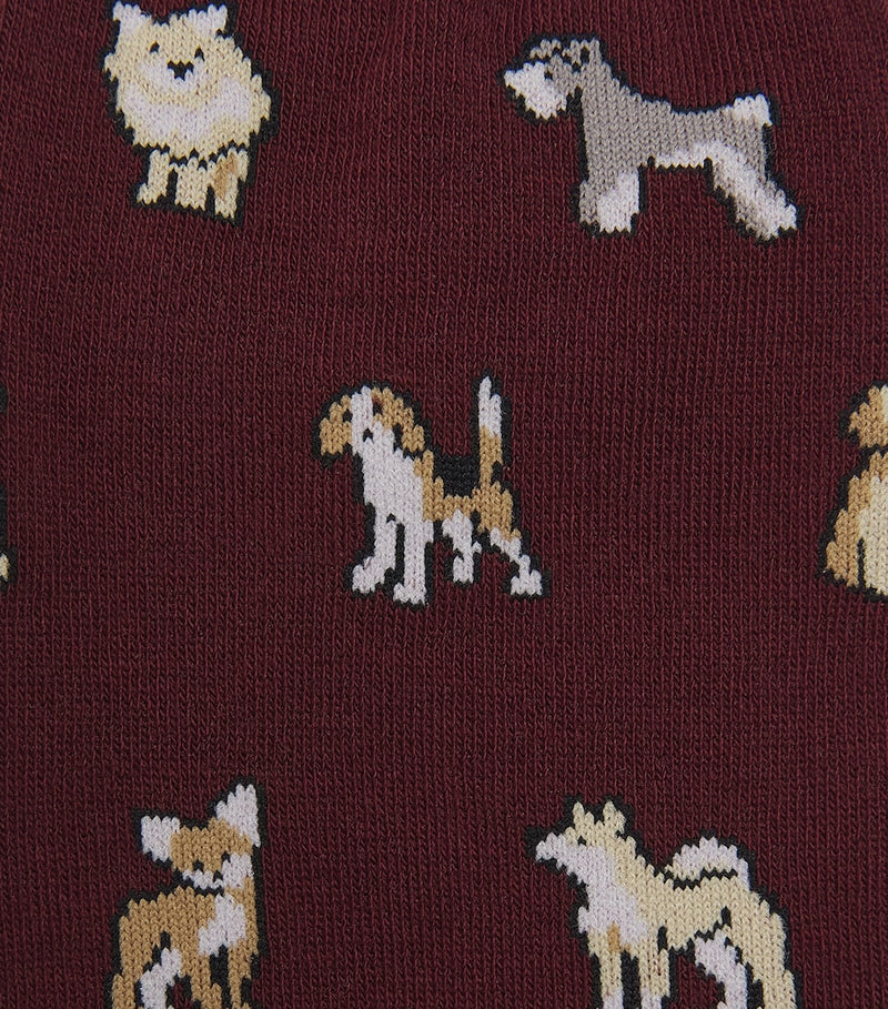 Paul Smith dog socks with playful canine patterns (British brand)