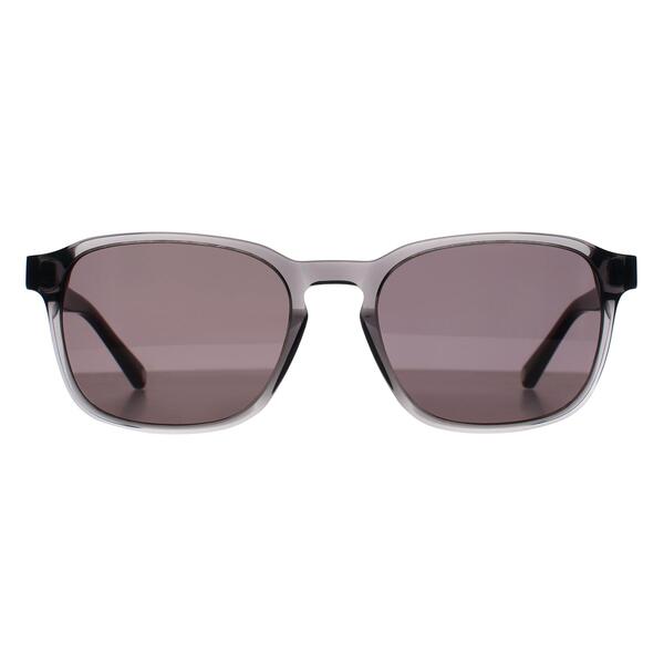 Ted Baker TB8246 Ollie Grey men's sunglasses - British product