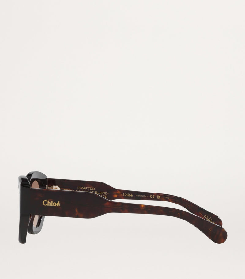 Chloé Acetate CH0220S Sunglasses - British product