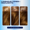 Coloration Clairol Nice'N Easy 6A Châtain Clair Cendré - Produit Britannique