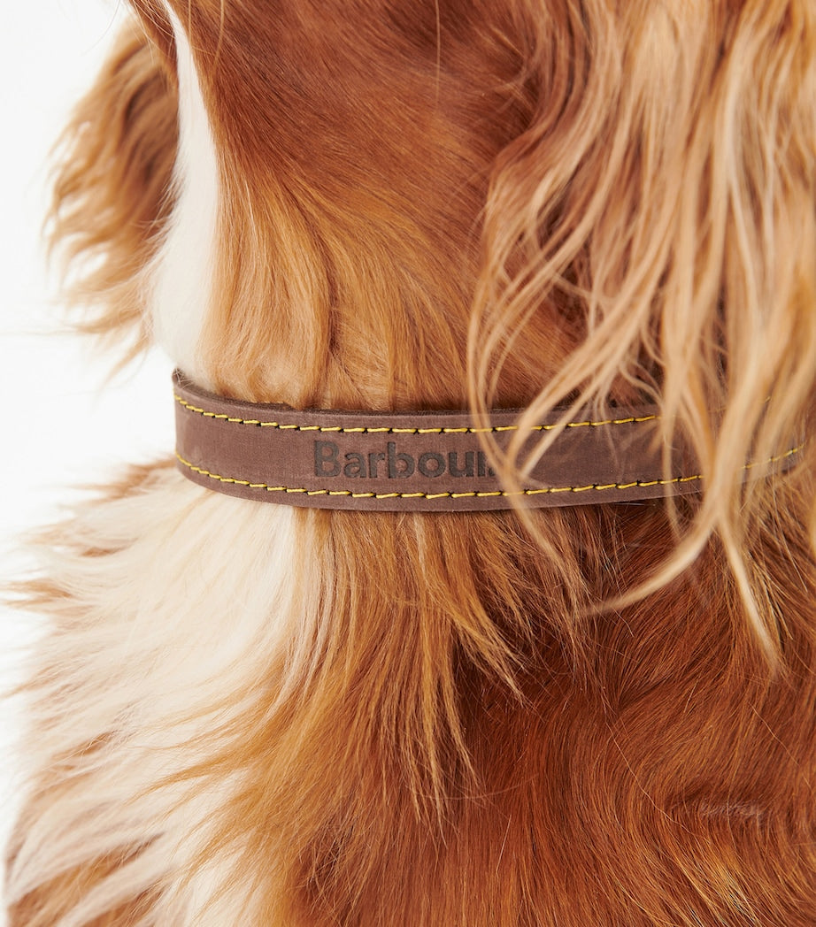 Barbour leather dog collar for dogs, UK version
