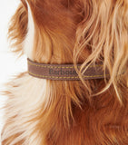 Barbour leather dog collar for dogs, UK version
