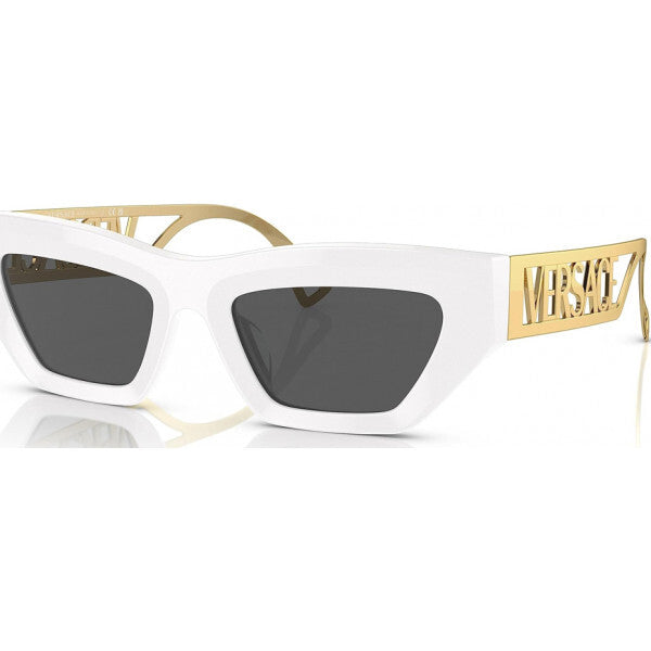 Versace grey sunglasses 54 (British brand)