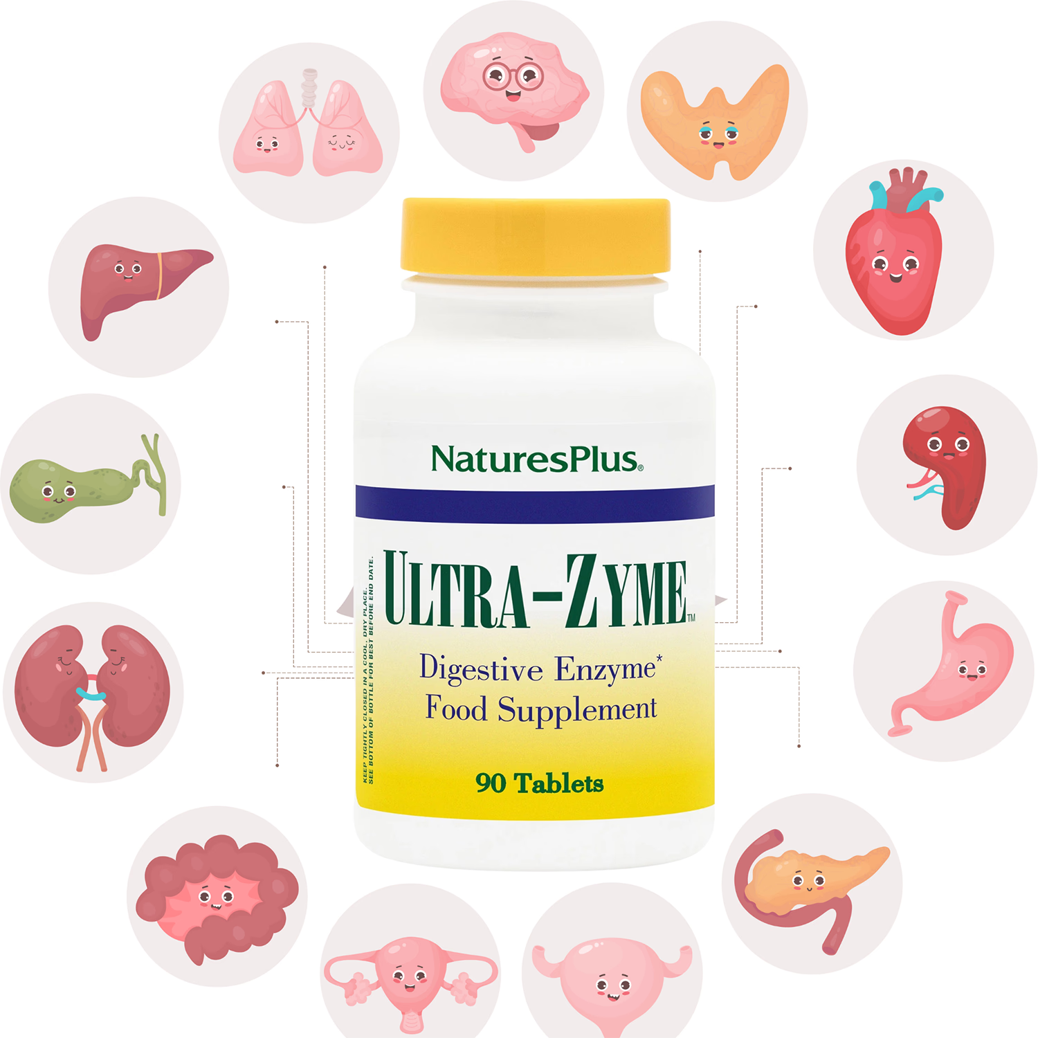 NaturesPlus Ultra-Zyme digestive enzyme tablets 90 tablets (British brand)