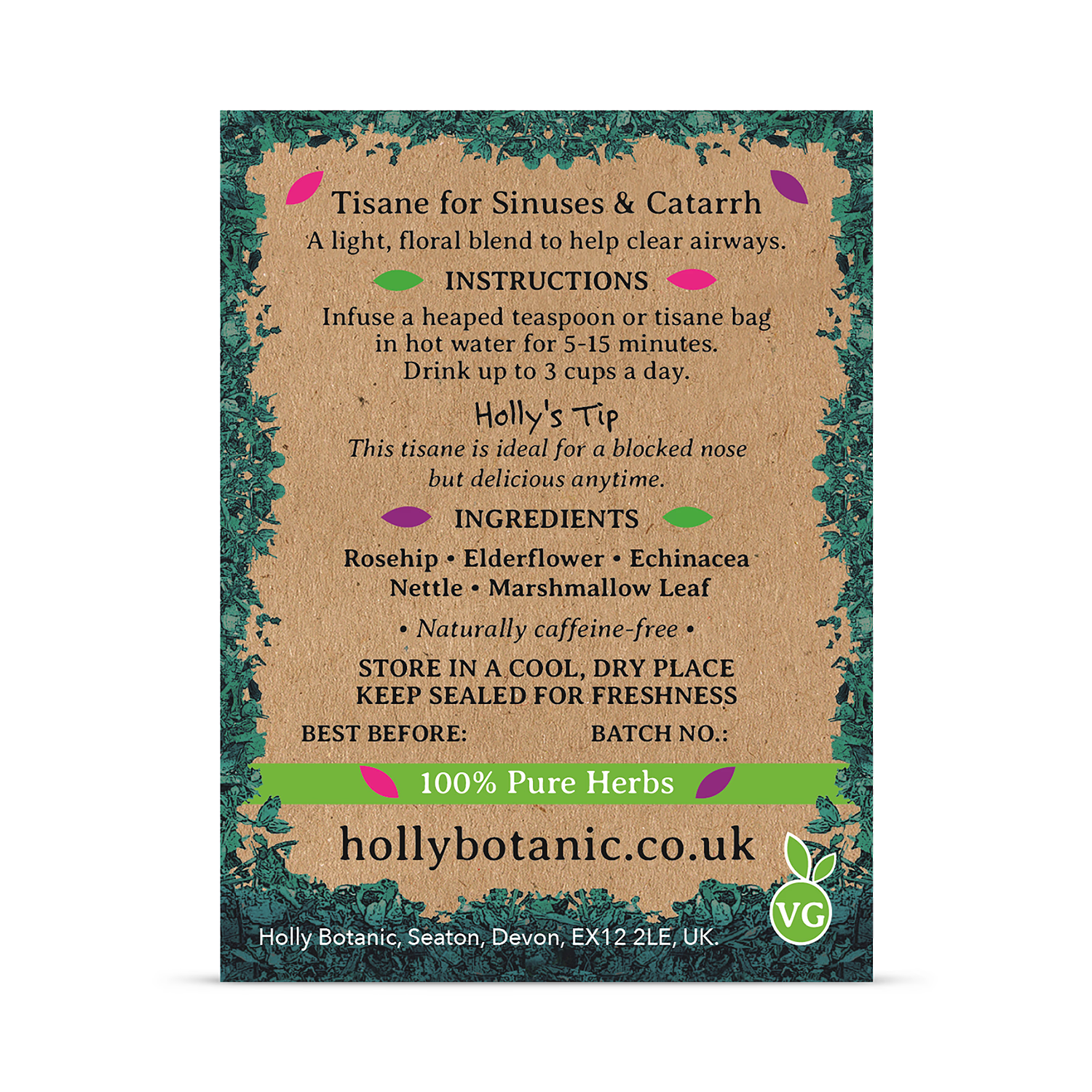 Holly Botanic Breathe Tisane echinacea rosehip 20 cup loose, UK version