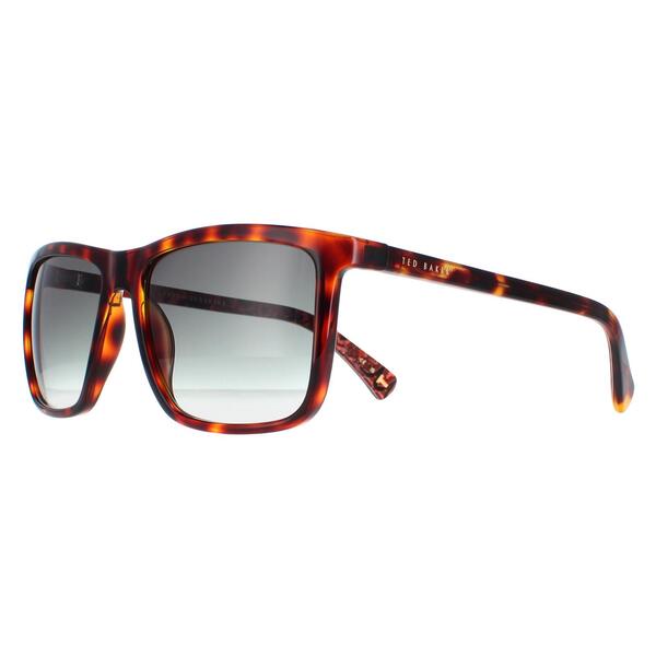 Ted Baker TB1663 Havna Brown sunglasses, imported from the UK