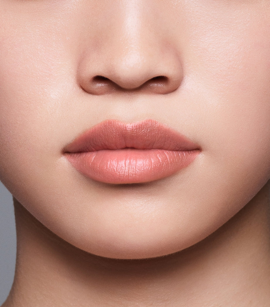 LipLiner InkDuo