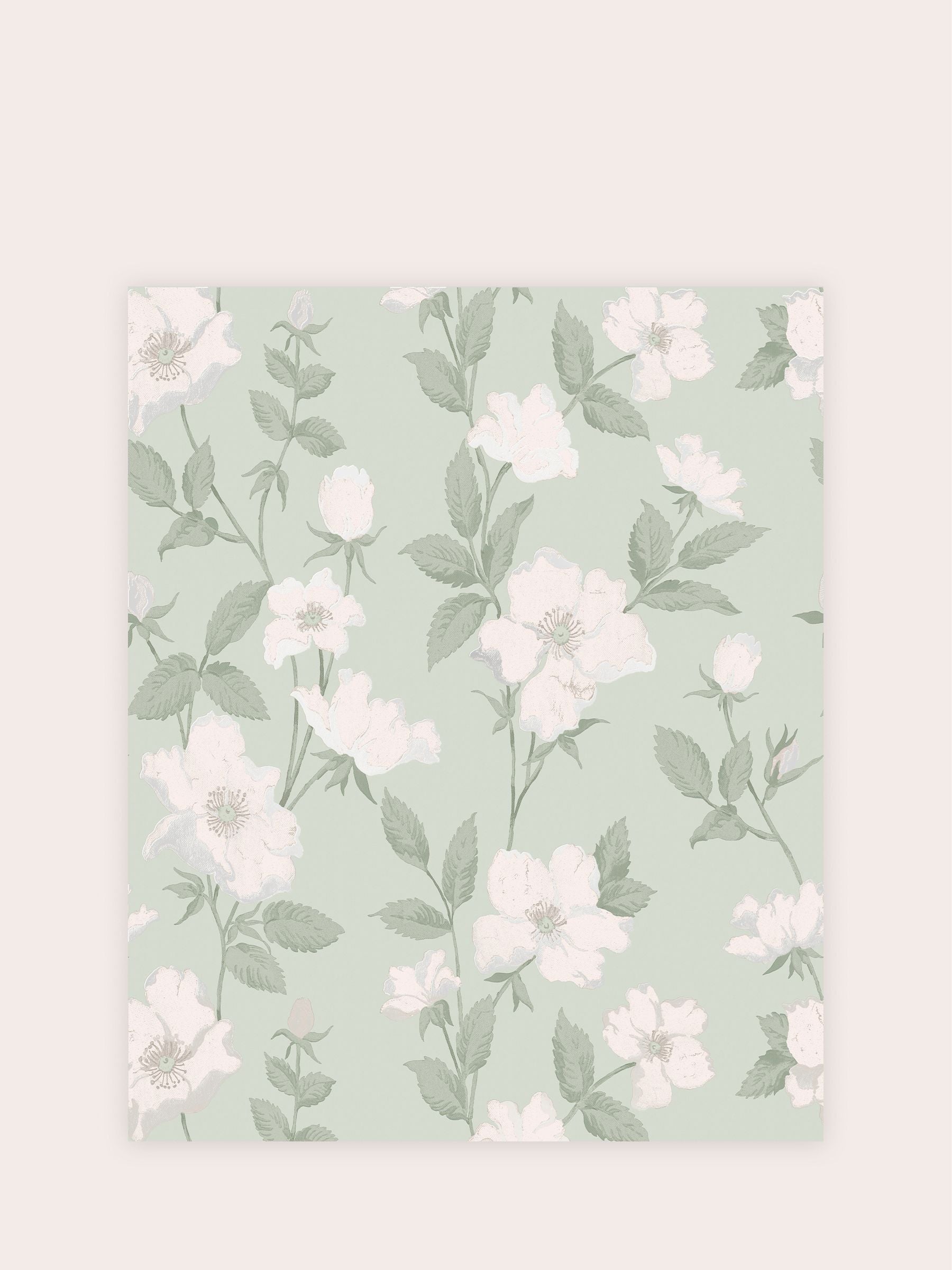 عينة ورق حائط Laura Ashley Smoke Green Fleurir A4 (علامة تجارية بريطانية)