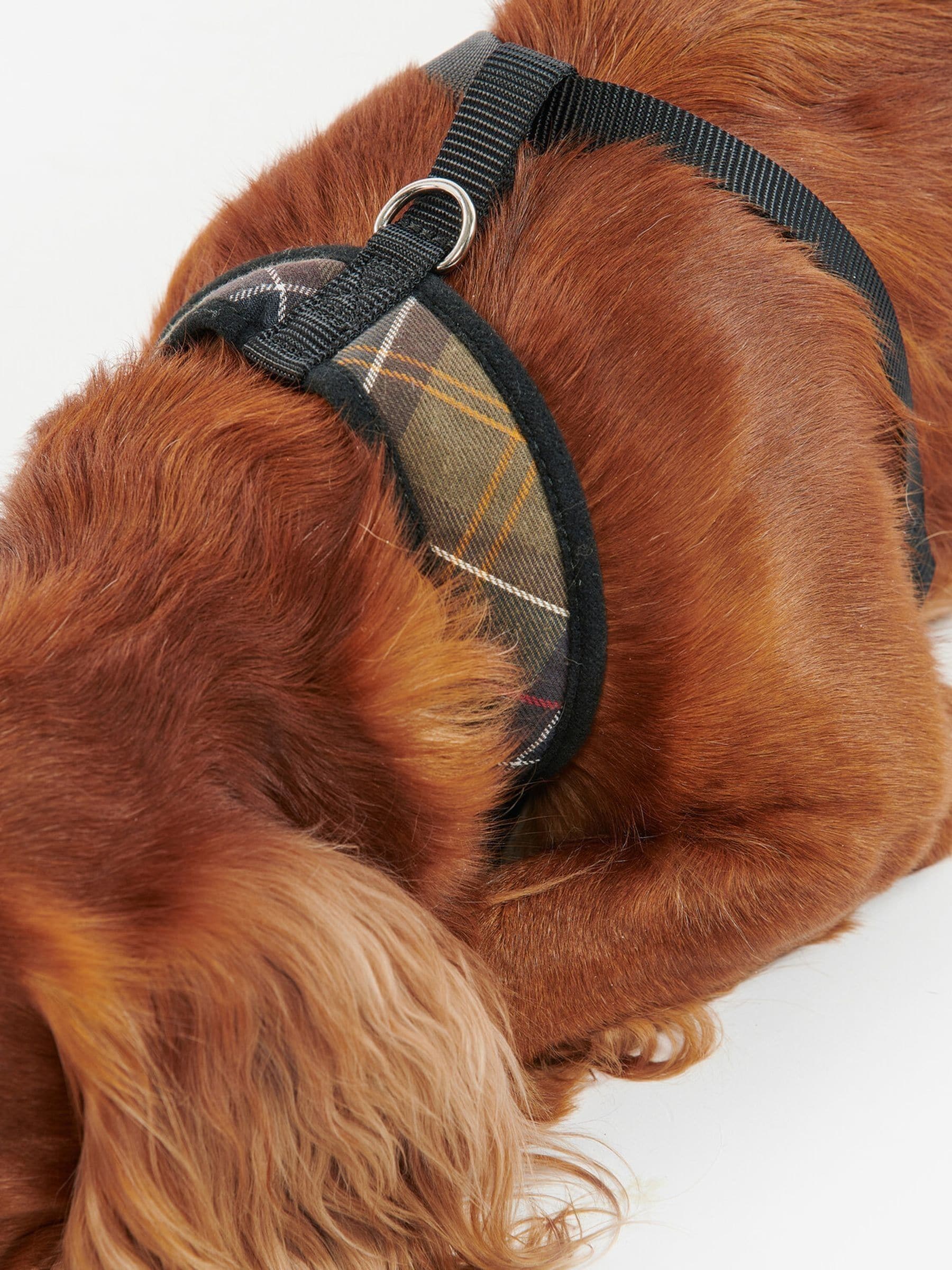 Barbour tartan dog harness (British brand)