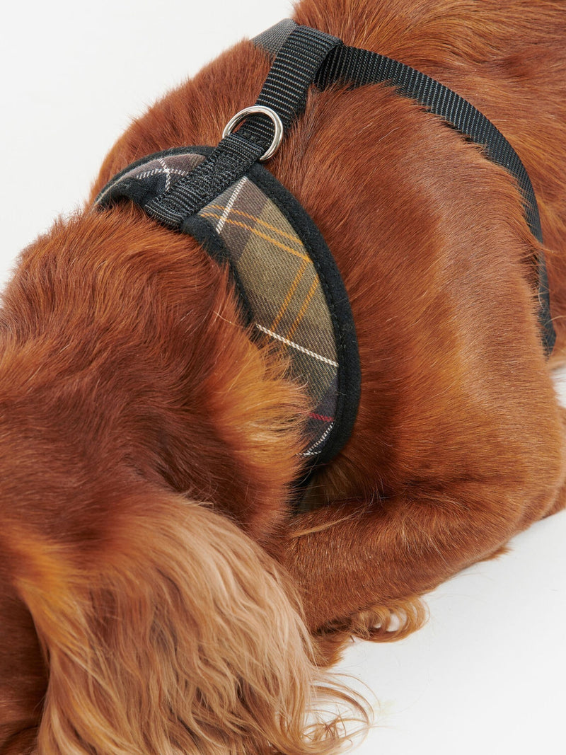 Barbour tartan dog harness (British brand)