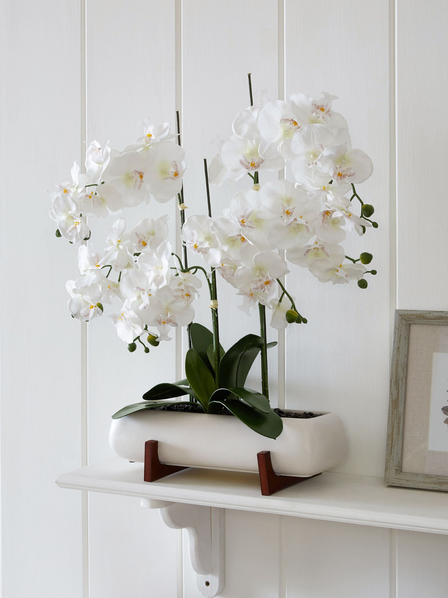 White real touch orchid with pot and stand (British brand)