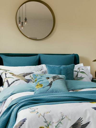 Next Ted Baker Blue Matellase Sham 100% Cotton Pillowcase- Buy online at McGrocer