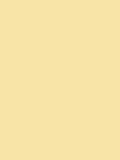 Cath Kidston yellow peel and stick paint sample A5 - British product