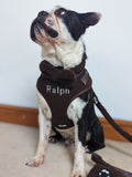 RUFF personalised dog harness, imported from the UK