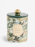 Clarke and Clarke Amber and Cedarwood Fragranced Candle - British product