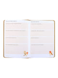 Something Different Brown Robin Remembrance Gift Set, imported from the UK