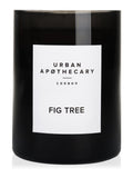 Urban Apothecary Fig Tree candle 300g, UK version