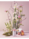 Springtime Floral Eau de Toilette 100ml with Fruity Notes