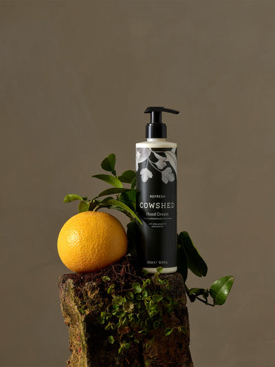 Antibakterielle Handcreme angereichert mit Shea- und Kakaobutter, 300ml