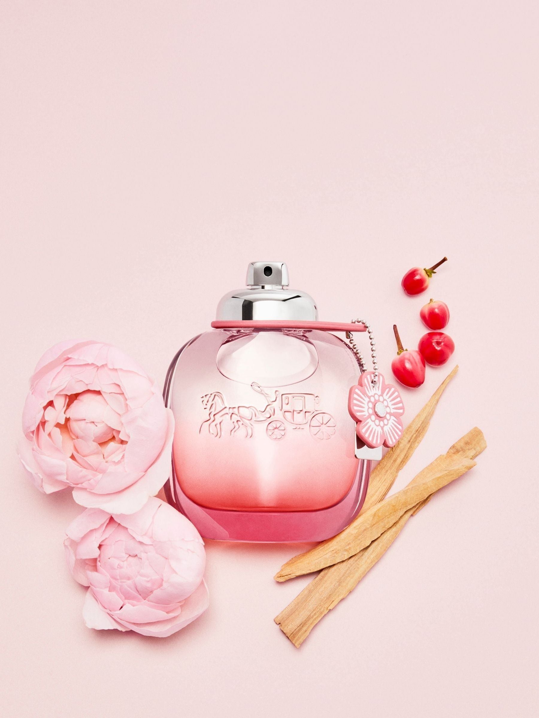 Coach Floral Blush Eau de Parfum 50ml - British product