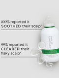 Philip Kingsley anti-dandruff shampoo 250ml, UK version