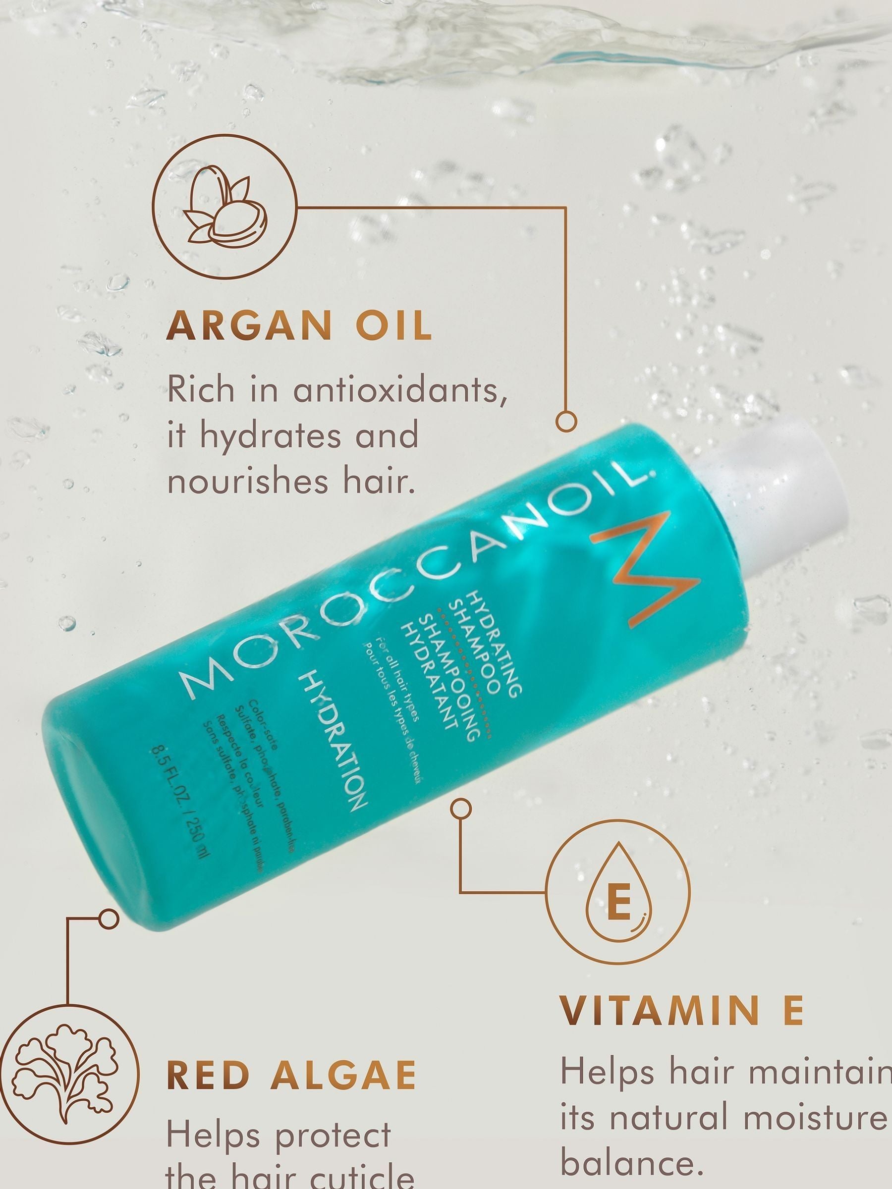 Moroccanoil hydrating shampoo 250ml (British brand)