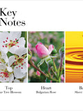 Elizabeth Arden White Tea Wild Rose perfume 100ml - British product