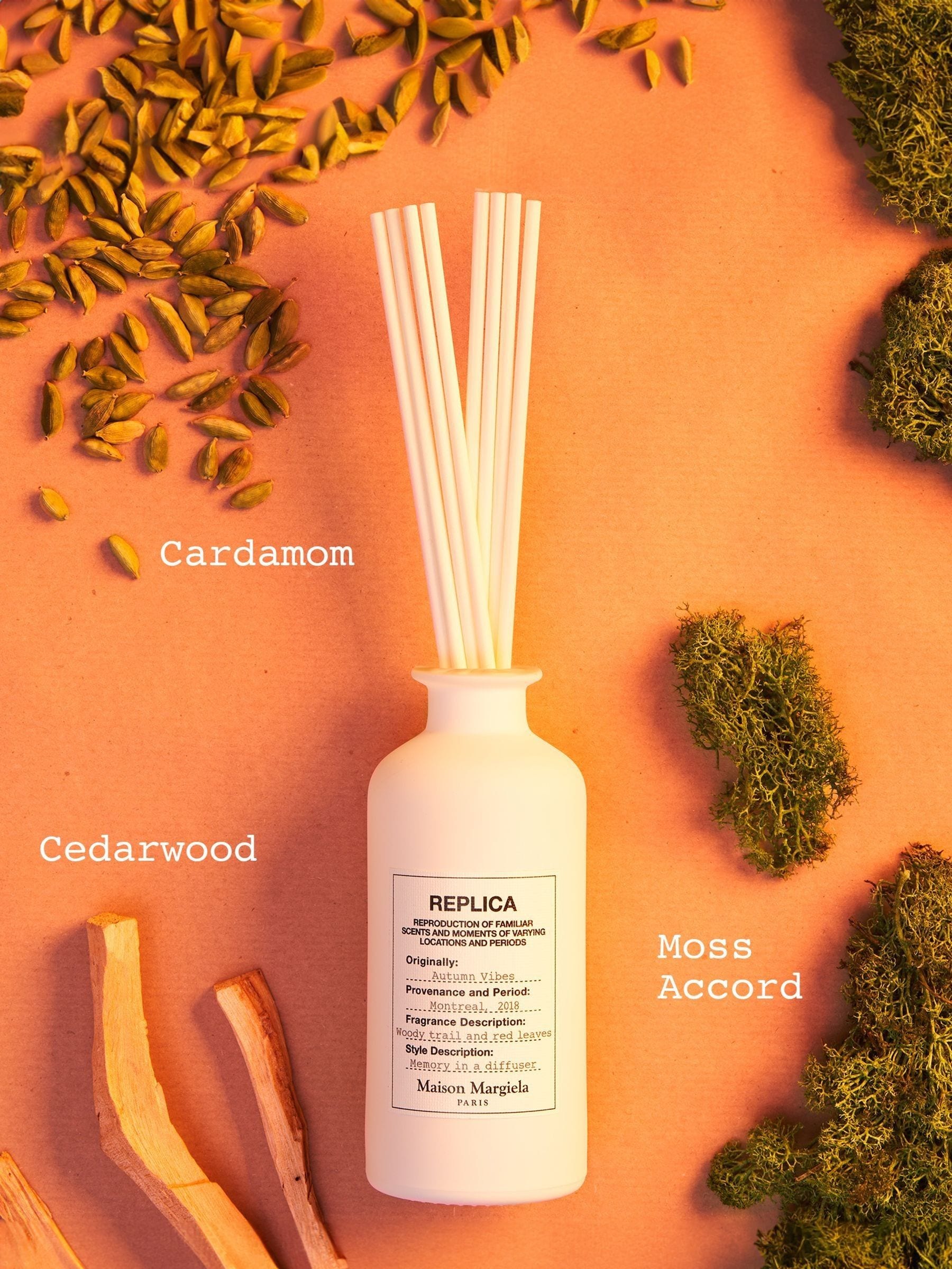 Autumn-Inspired Reed Diffuser with Cardamom and Cedarwood Scents