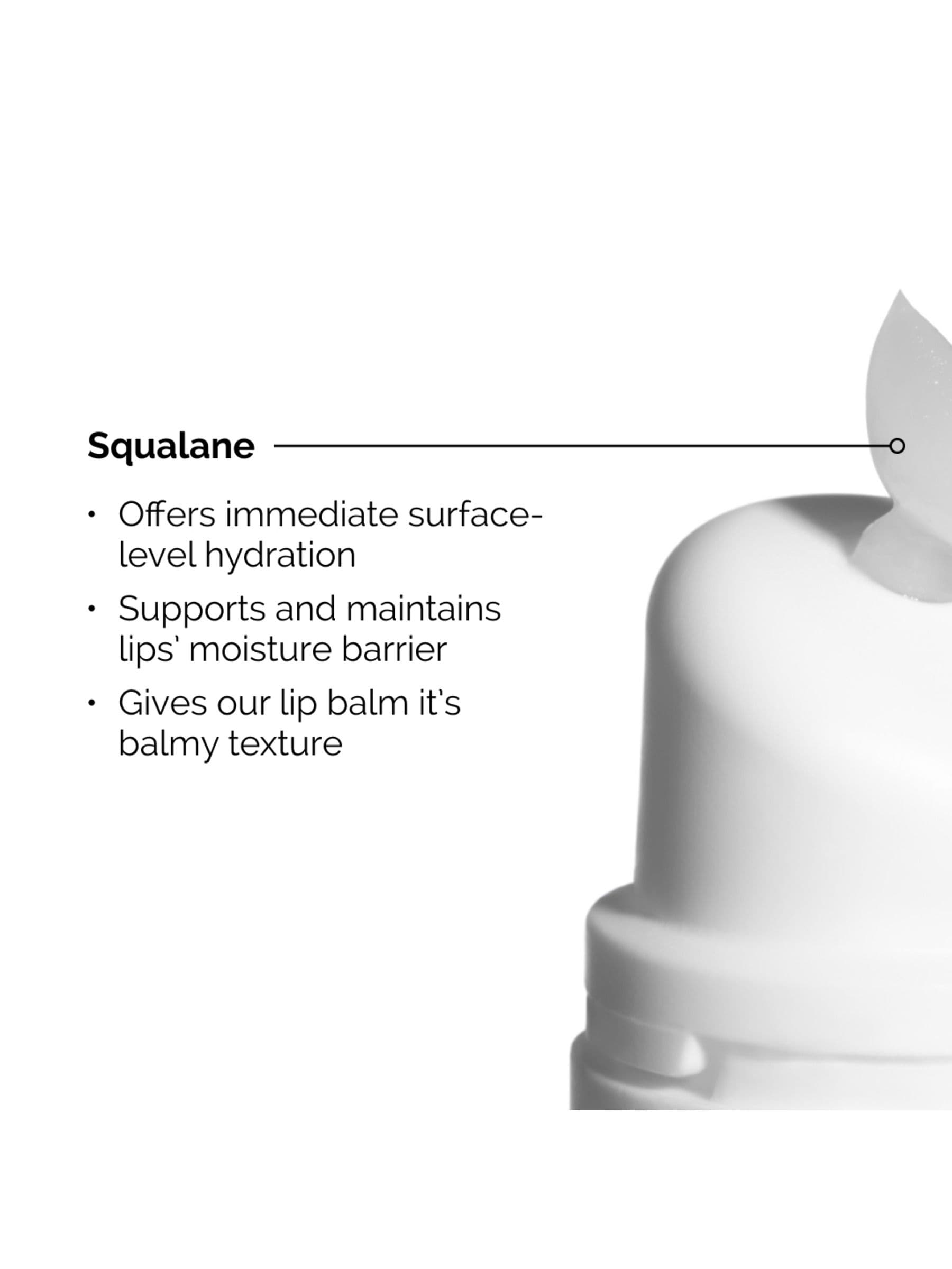 The Ordinary Squalane & Amino Acids lip balm 15ml, imported from the UK