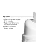 The Ordinary Squalane & Amino Acids lip balm 15ml, imported from the UK