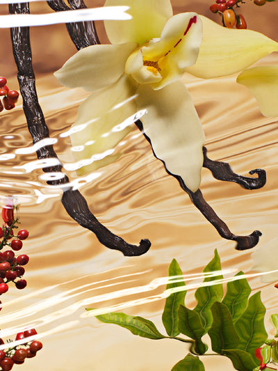 Next Amber Spicy Eau de Parfum Spray with Sichuan Pepper and Vanilla 40ml- Buy online at McGrocer