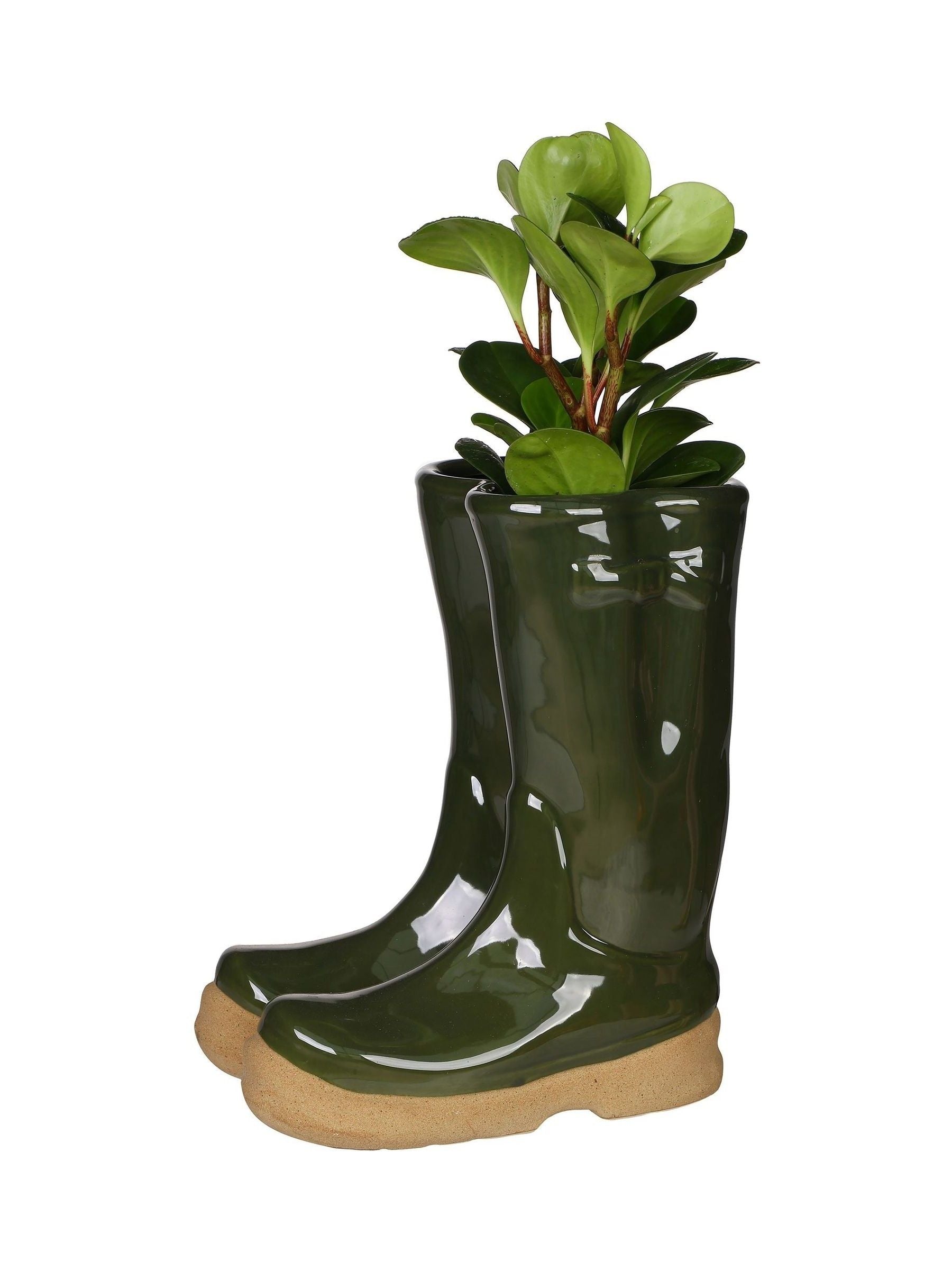 Dibor green ceramic wellington boot planter large (British brand)