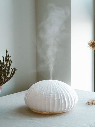 Next Made by Zen Oceania Ceramic Electric Aroma Diffuser- Buy online at McGrocer