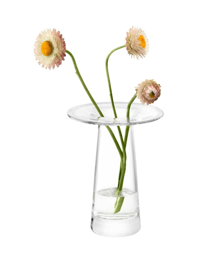 Nächste LSA International Klare Victoria Vase H15cm – online kaufen bei McGrocer