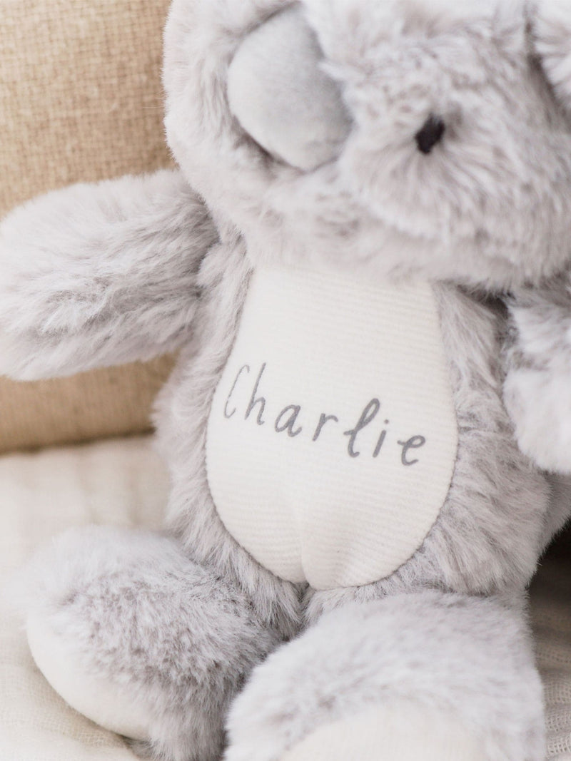 My 1st Years personalised koala plush sibling set - British product