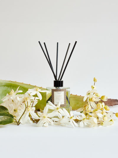 Next Cashmere Fragrance Reed Diffuser 115ml- Buy online at McGrocer