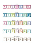 No Ordinary Gift wooden building blocks personalised baby print oak frame 18x40cm (British brand)