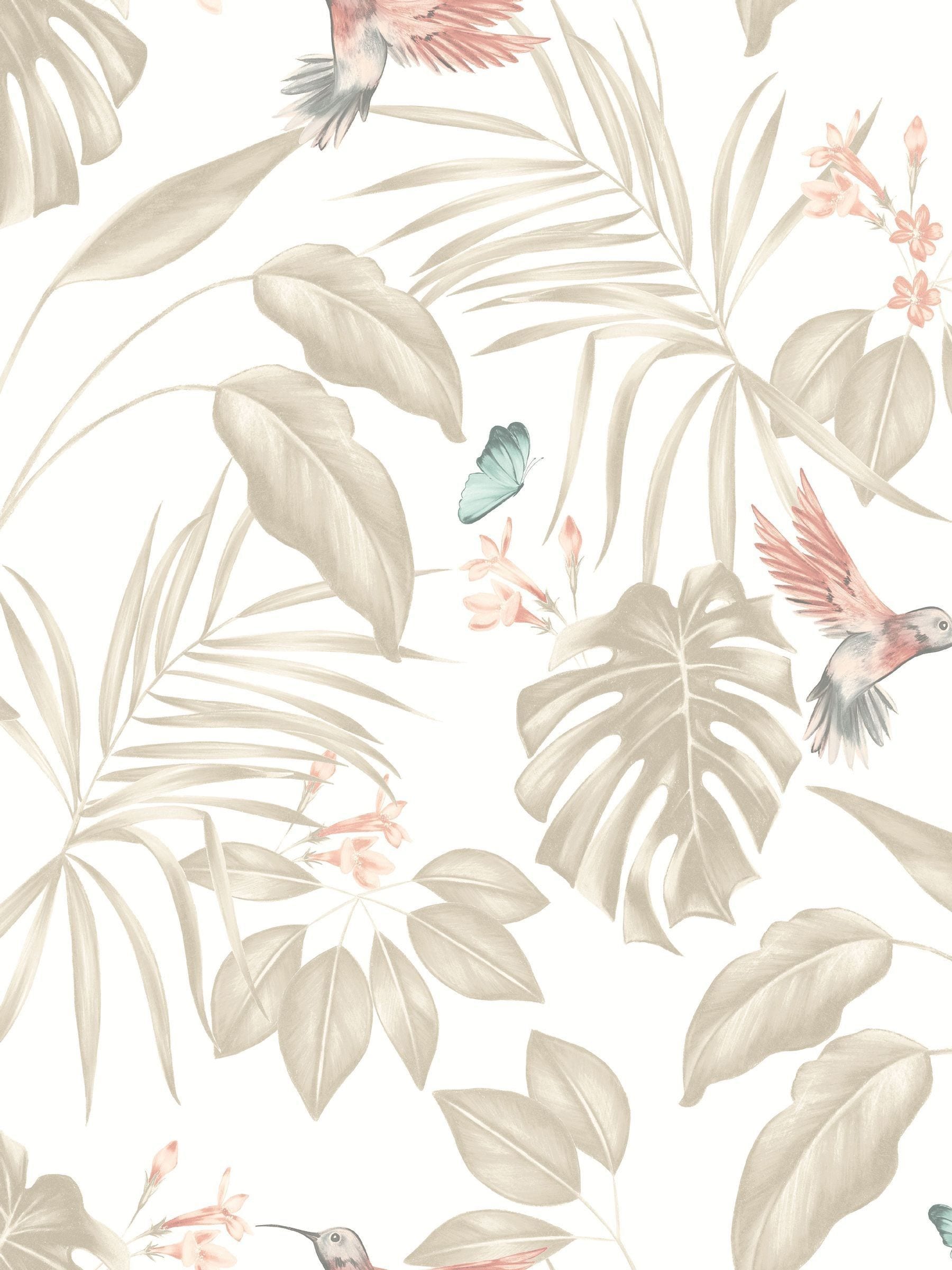 Ohpopsi Oyster Hummingbird A4 Wallpaper Sample