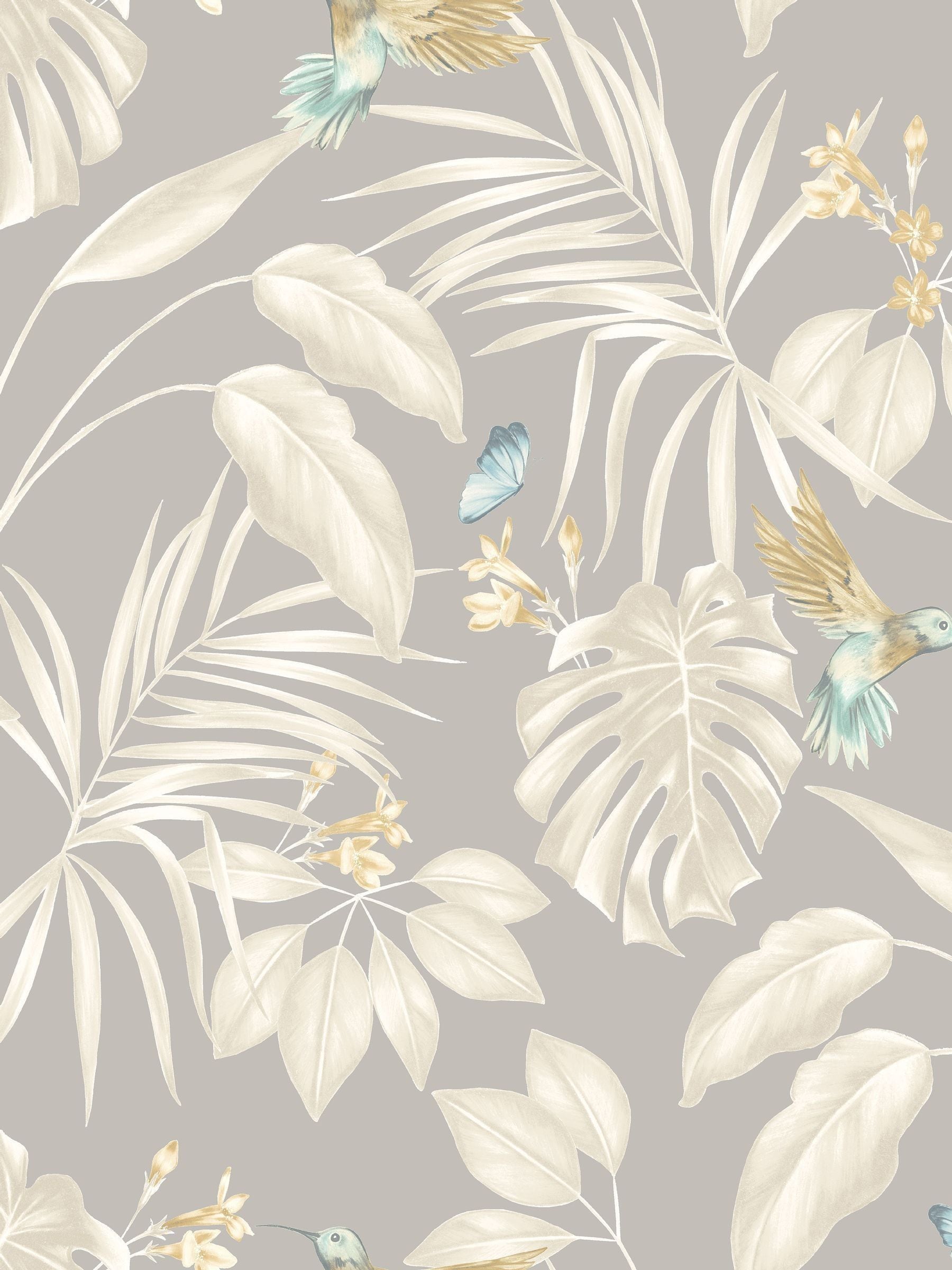 Ohpopsi Flint Hummingbird A4 Wallpaper Sample