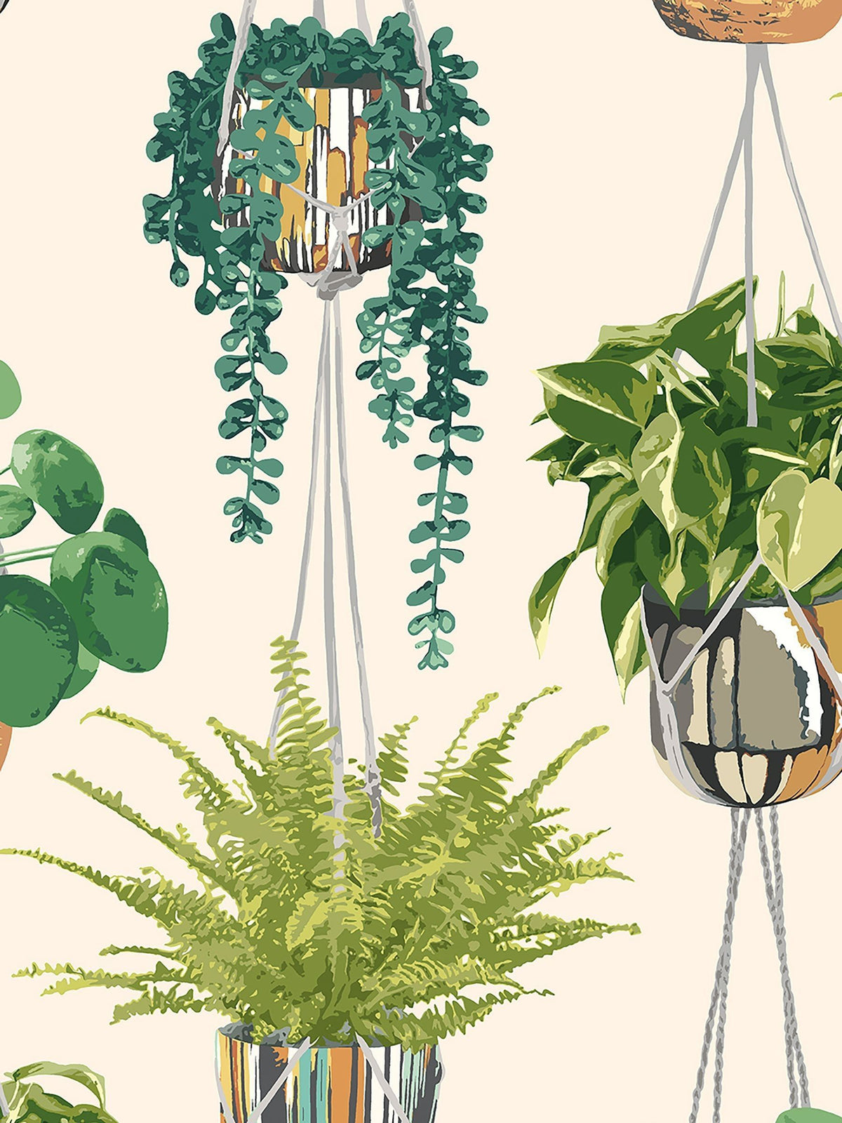 Ohpopsi wallpaper sample Sage and Cider A4, imported from the UK