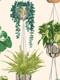Ohpopsi wallpaper sample Sage and Cider A4, imported from the UK