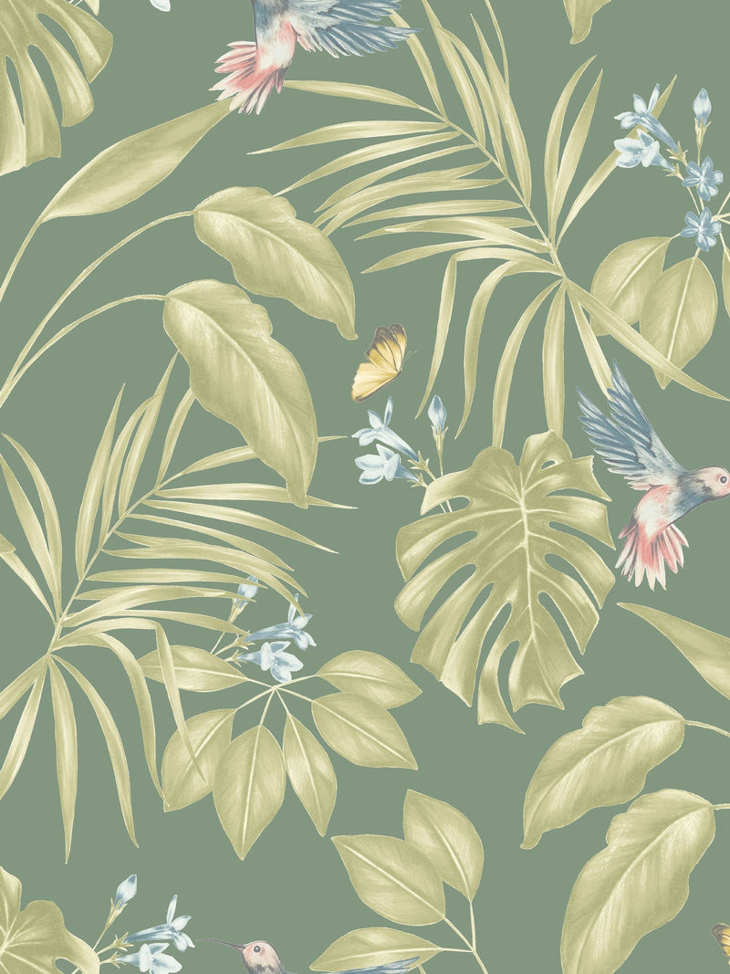 Ohpopsi Hummingbird A4 Wallpaper Sample